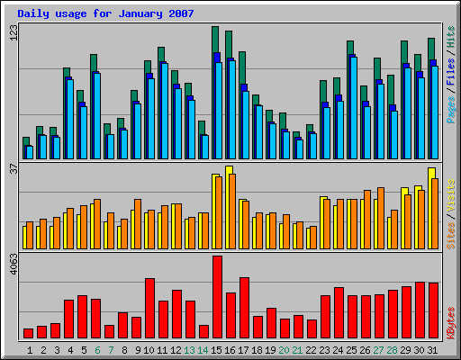 Daily usage for January 2007