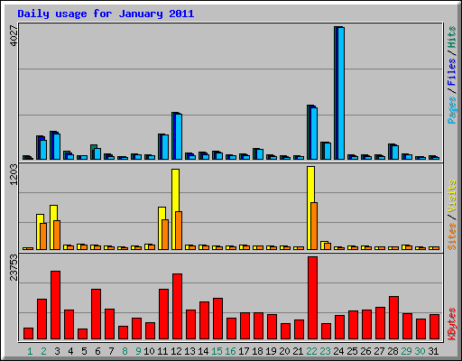Daily usage for January 2011