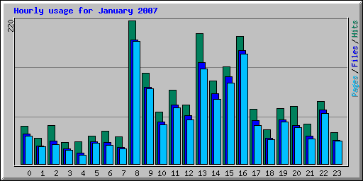Hourly usage for January 2007