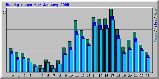 Hourly usage for January 2009