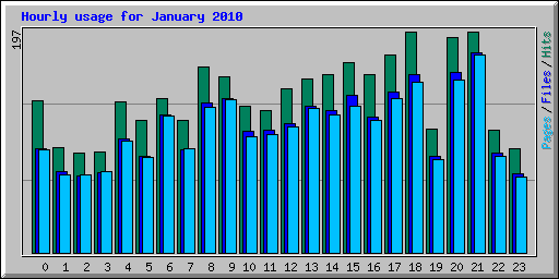 Hourly usage for January 2010