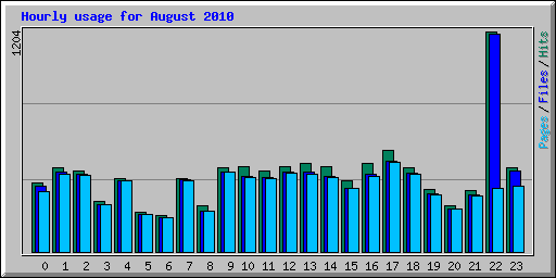 Hourly usage for August 2010