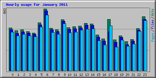Hourly usage for January 2011